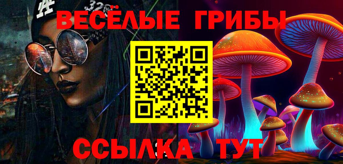 Псилоцибиновые грибы Cubensis Камышлов